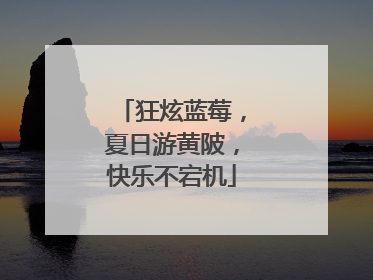 狂炫蓝莓，夏日游黄陂，快乐不宕机